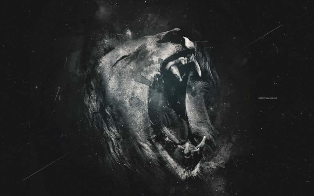 Black And White Lion Wallpaper