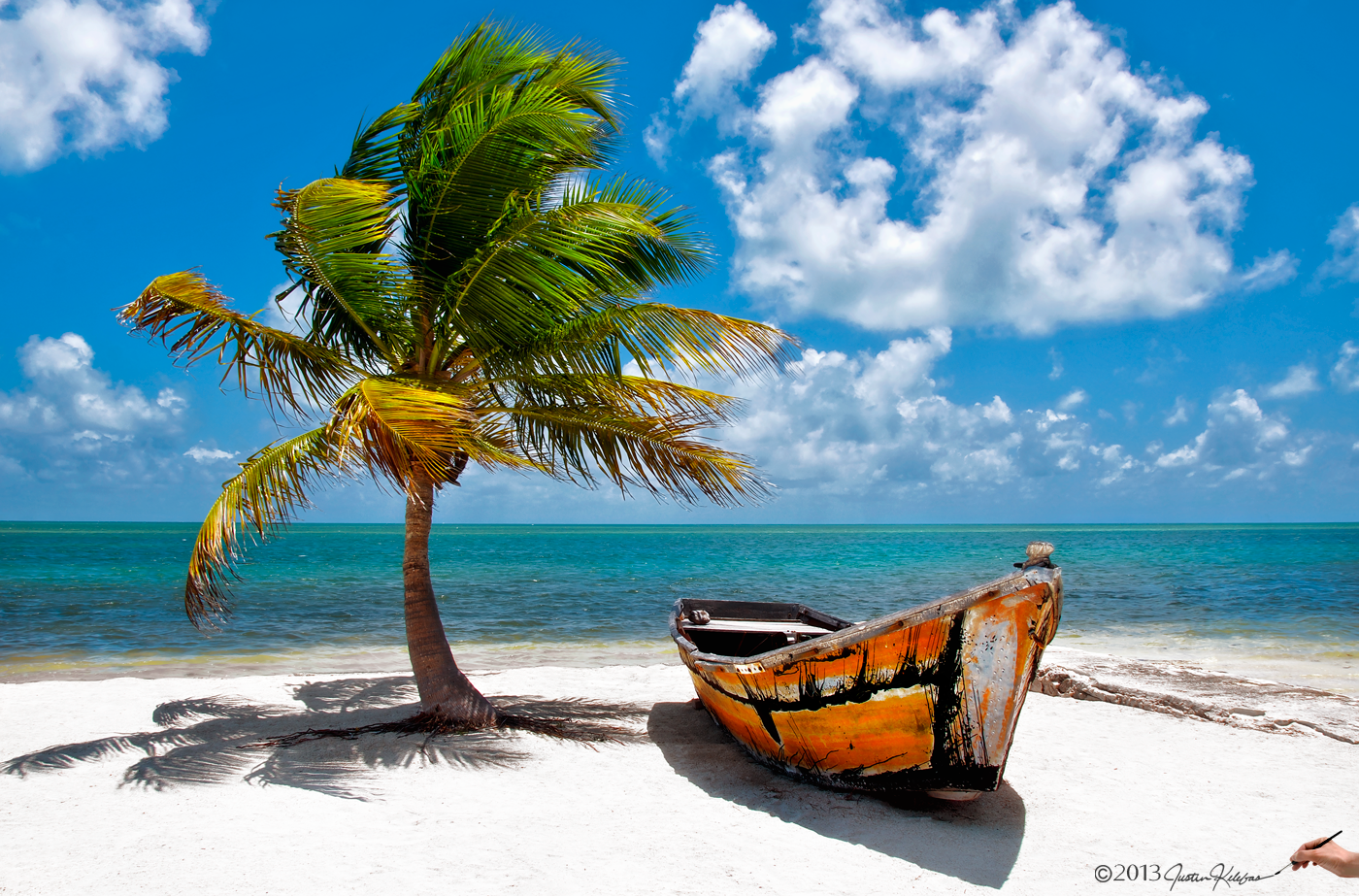 Palm Tree Beach Florida Umbrella Scene