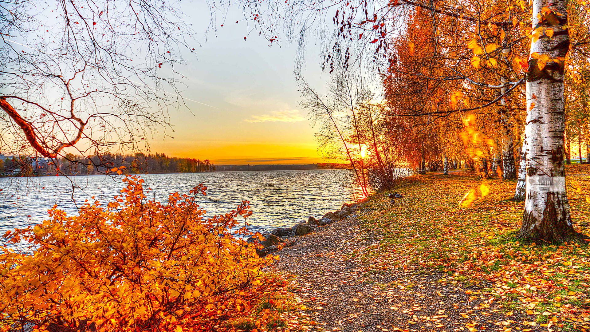Gorgeous Autumn Landscape Wallpaper