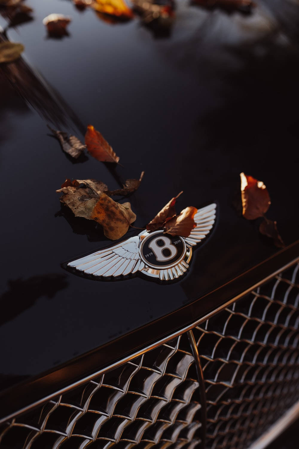 Close Up Bentley Logo iPhone Aoznjgyjn2fhpm42 Wallpaper