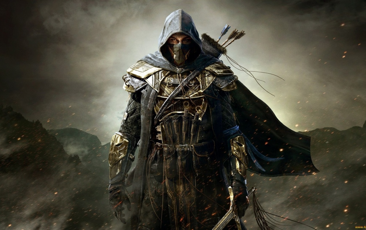 The Elder Scrolls Online Warrior Wallpaper