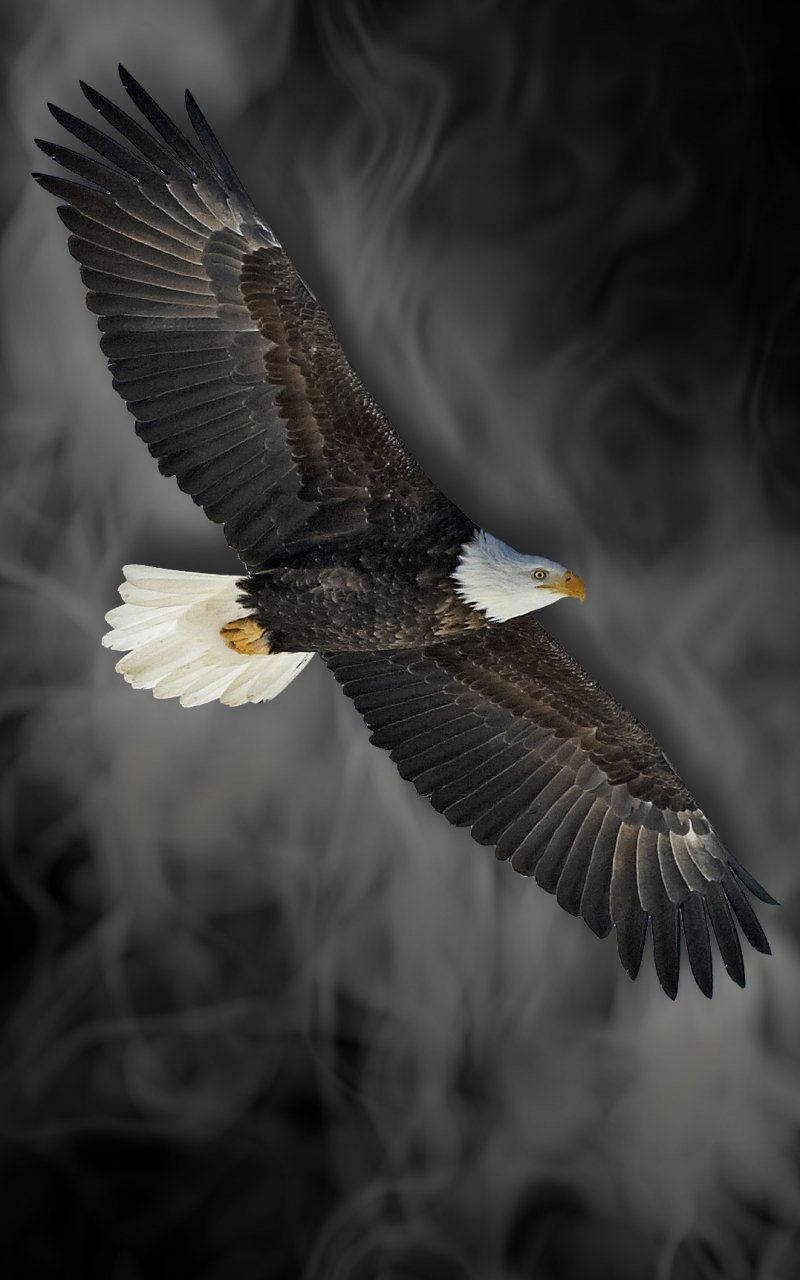 America iPhone Wallpaper