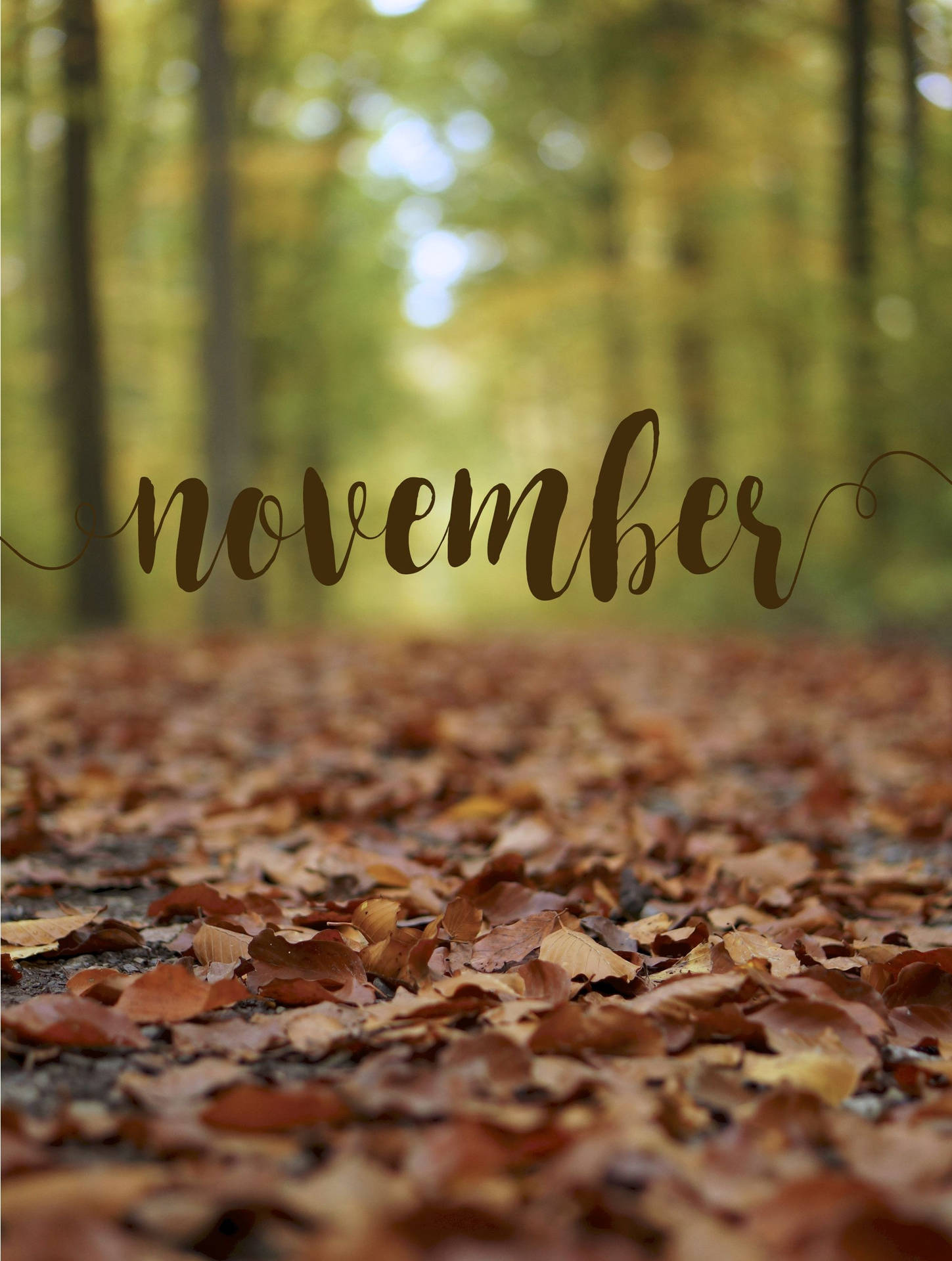 November iPhone Background Wallpaper