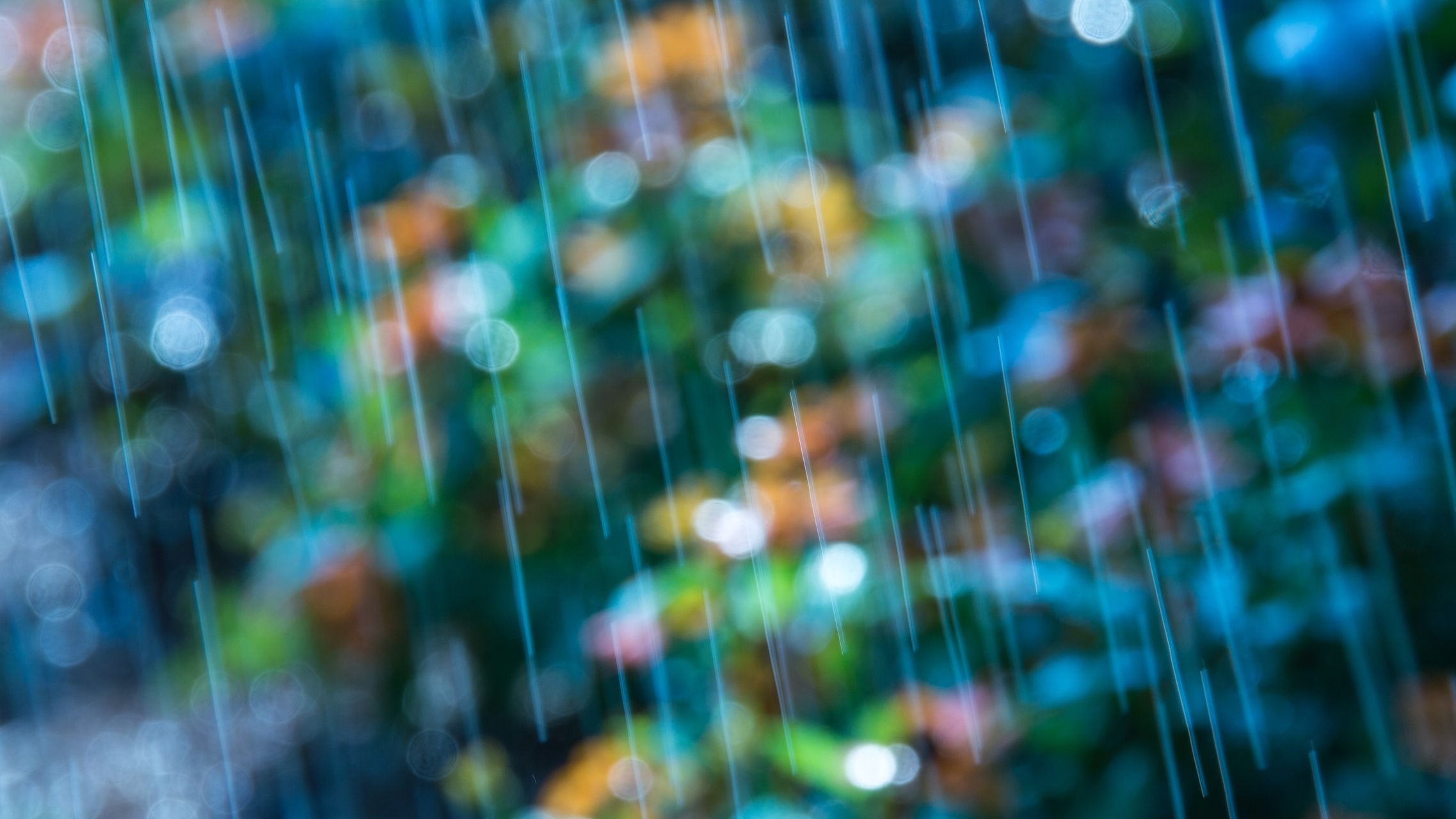 Drop Glitter Macro Bokeh Lights Photo Beauty HD Wallpaper