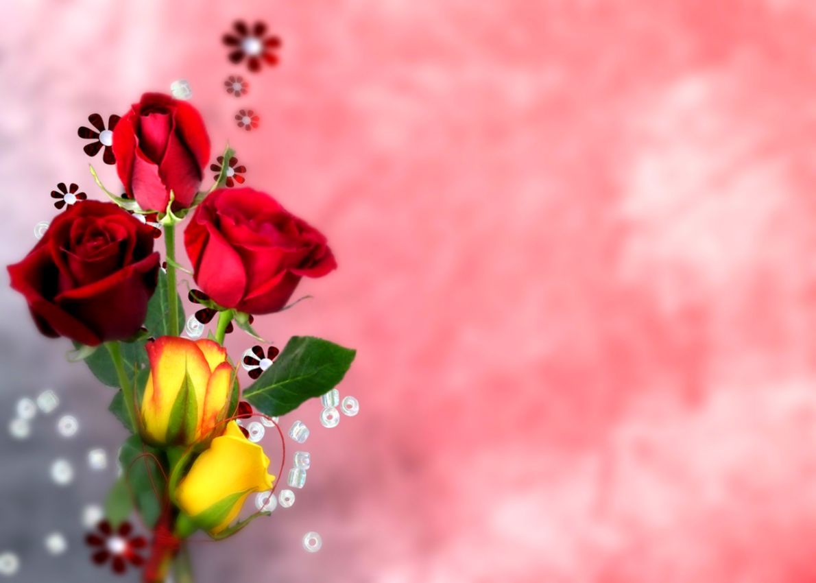 Free download Red Roses Flower Meanings Images Rose Hd Download Flower