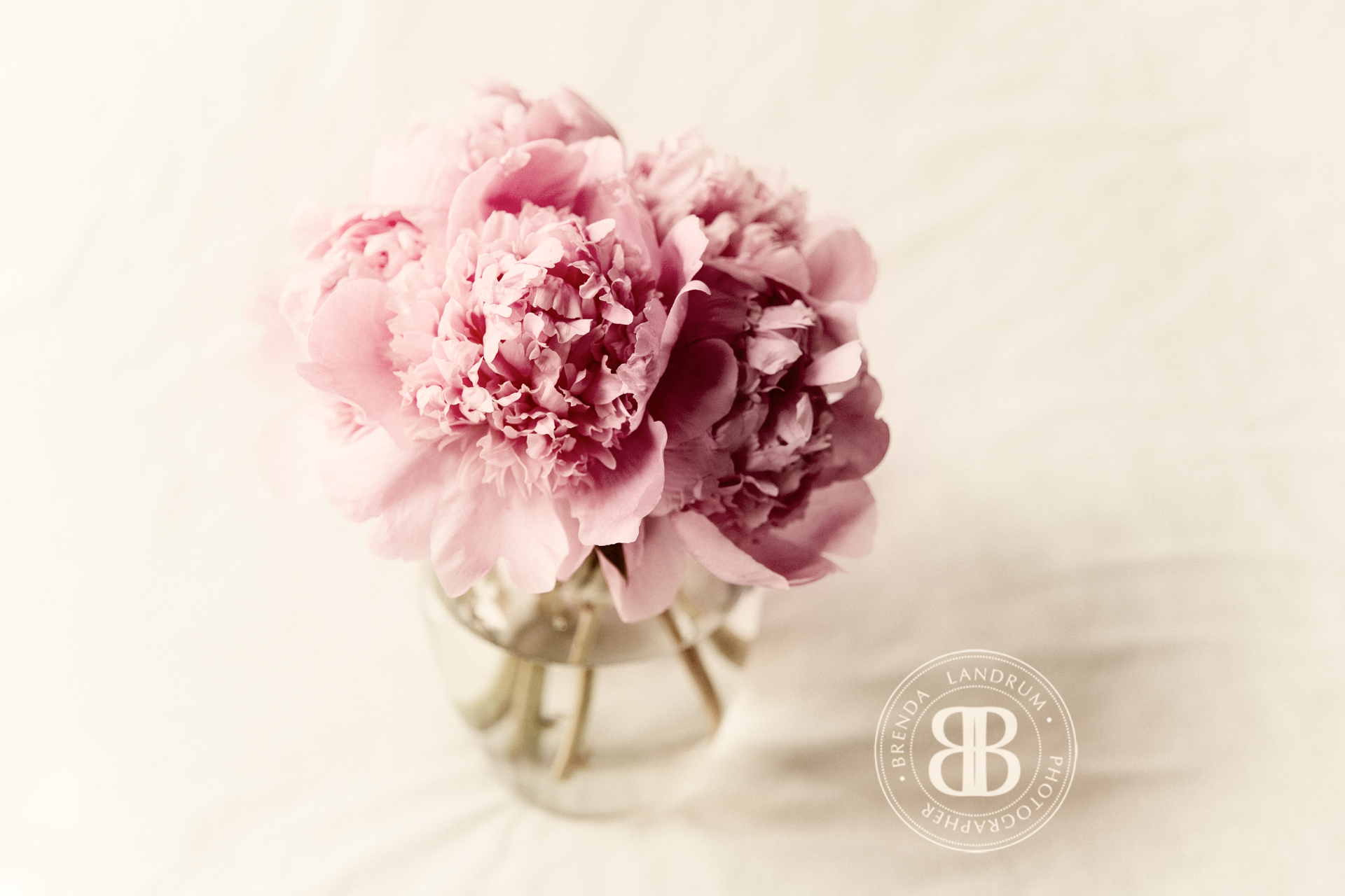 Beautiful Pink Peony Bouquet Desktop Wallpaper By Brenda Landrum