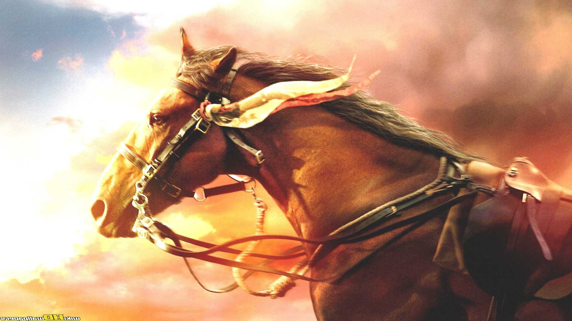 War Horse Wallpaper And Background Image