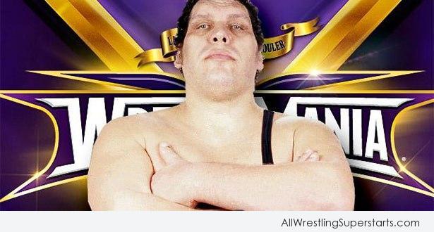 Forever Wrestler Andre The Giant   WWE Superstars WWE