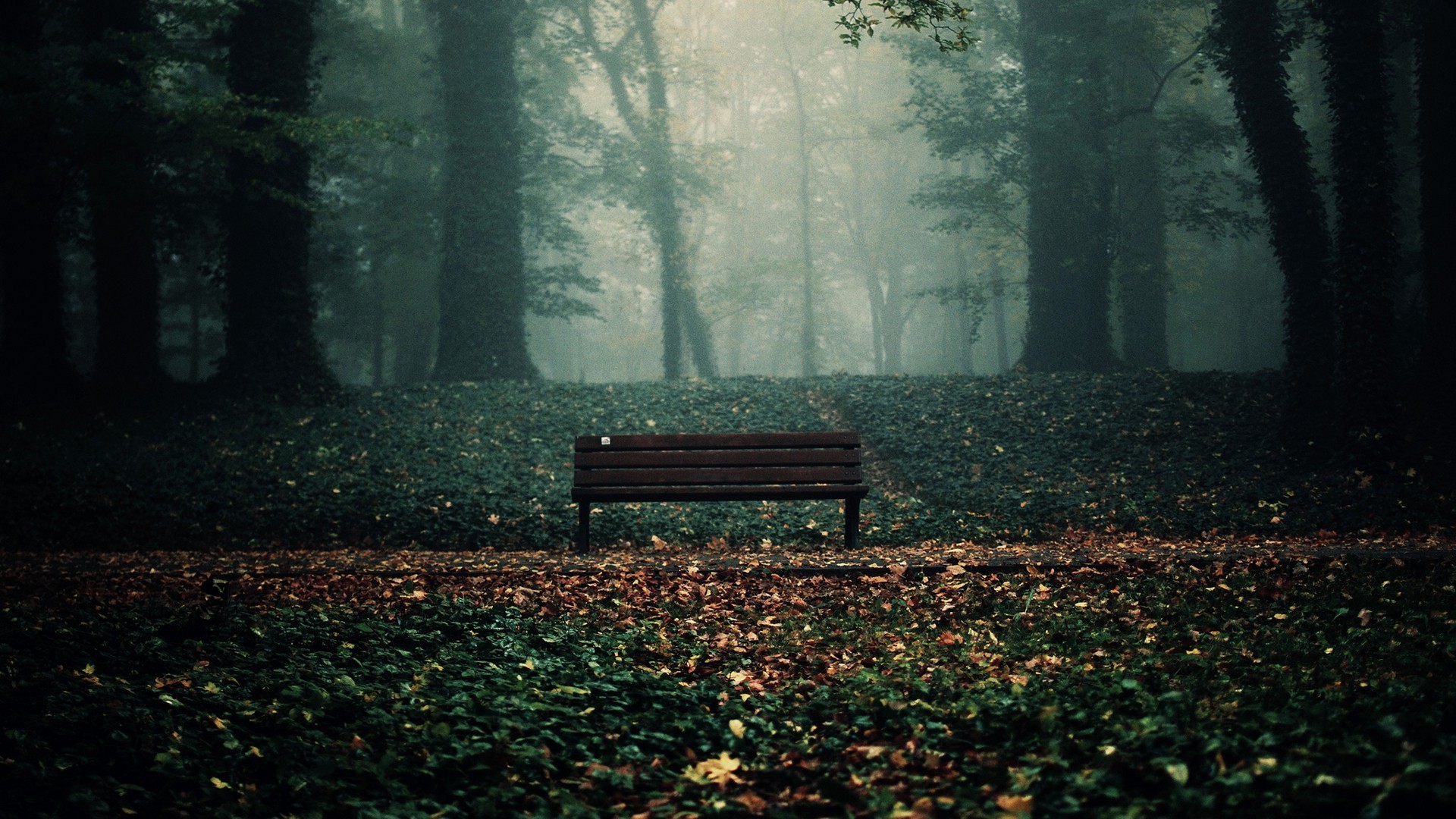Woods Wallpaper HD Bench In The Fall