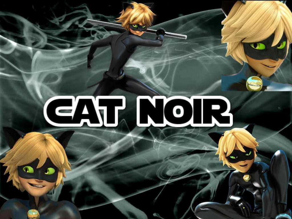 Cat Noir Wallpaper