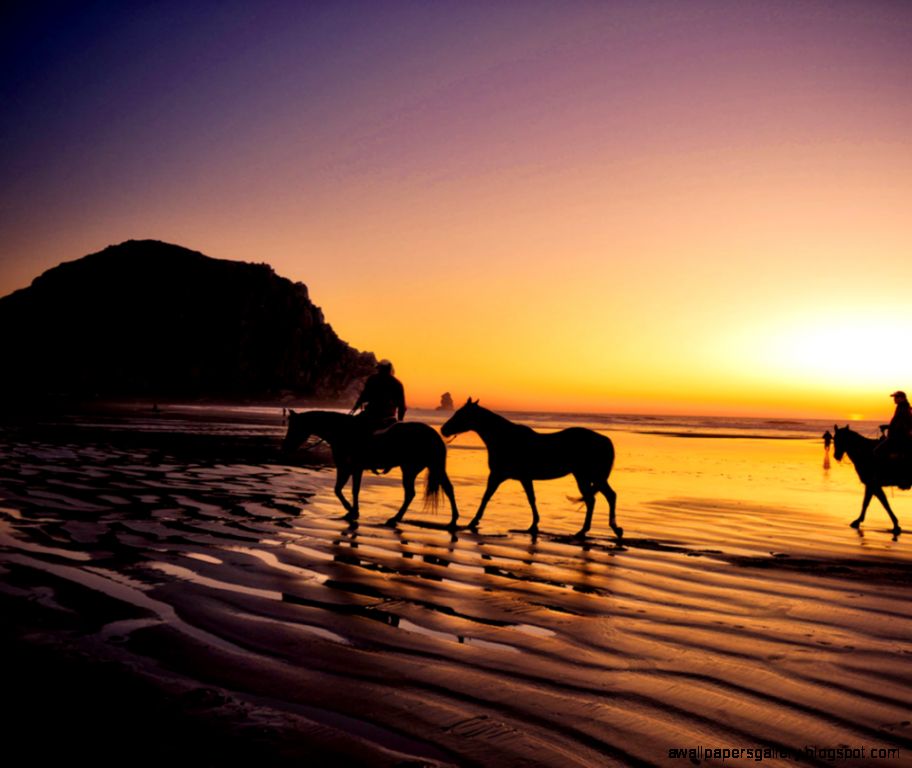 Horses In The Sunset On Beach Wallpaper Gallery