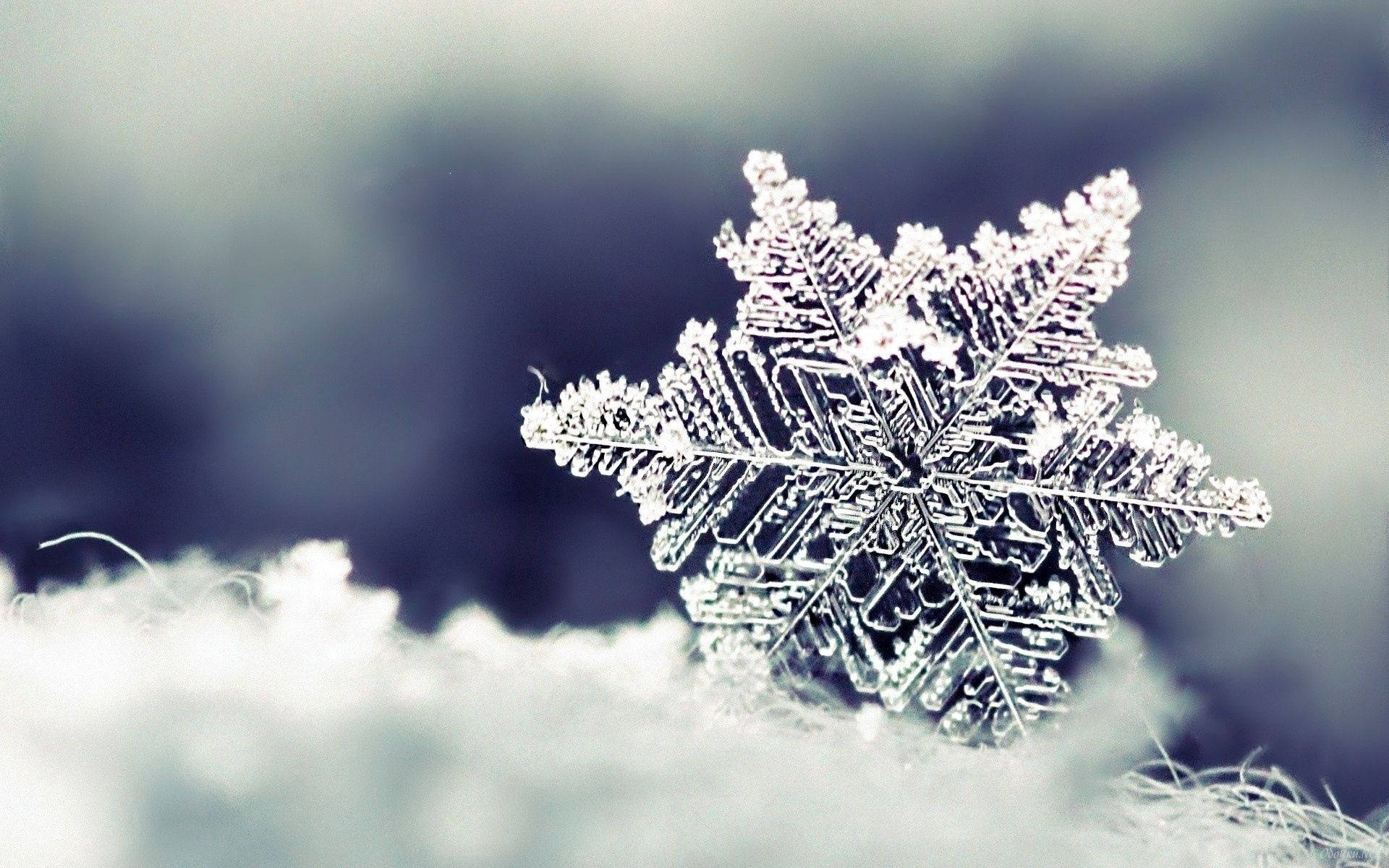 Snowflake Wallpaper