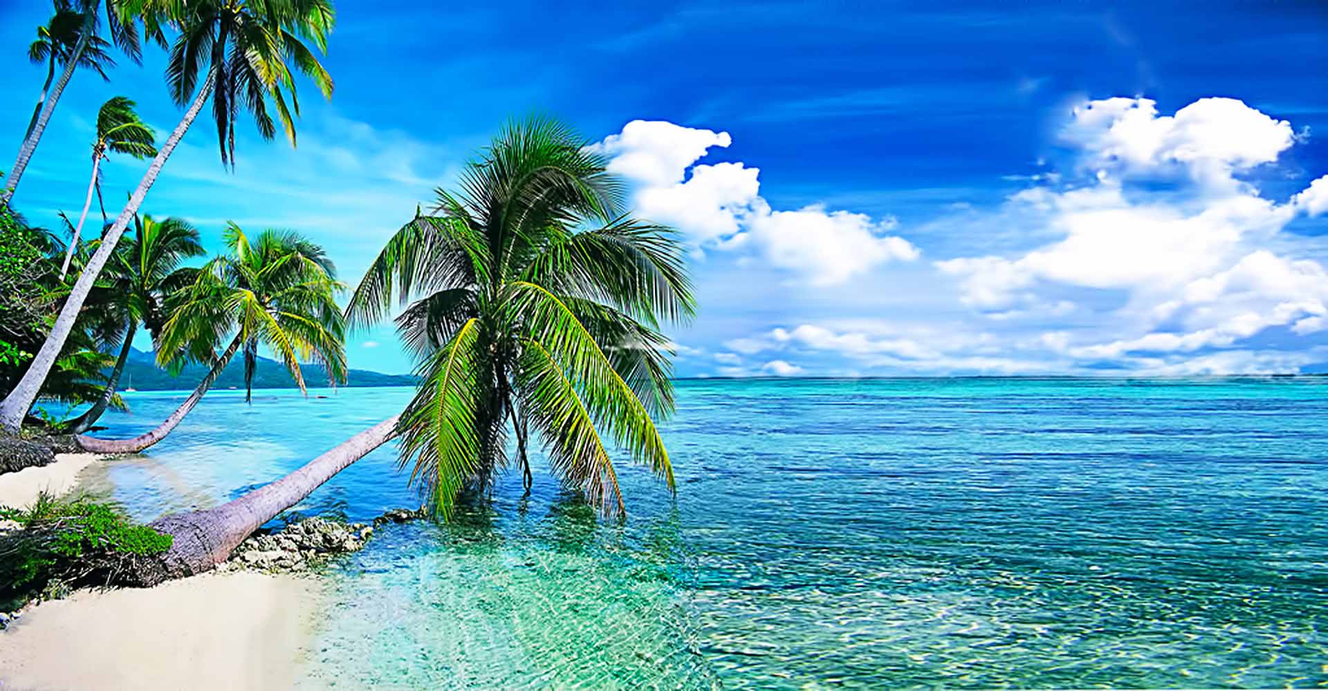 Tropical paradise beach with palm trees, turquoise water, and white sand