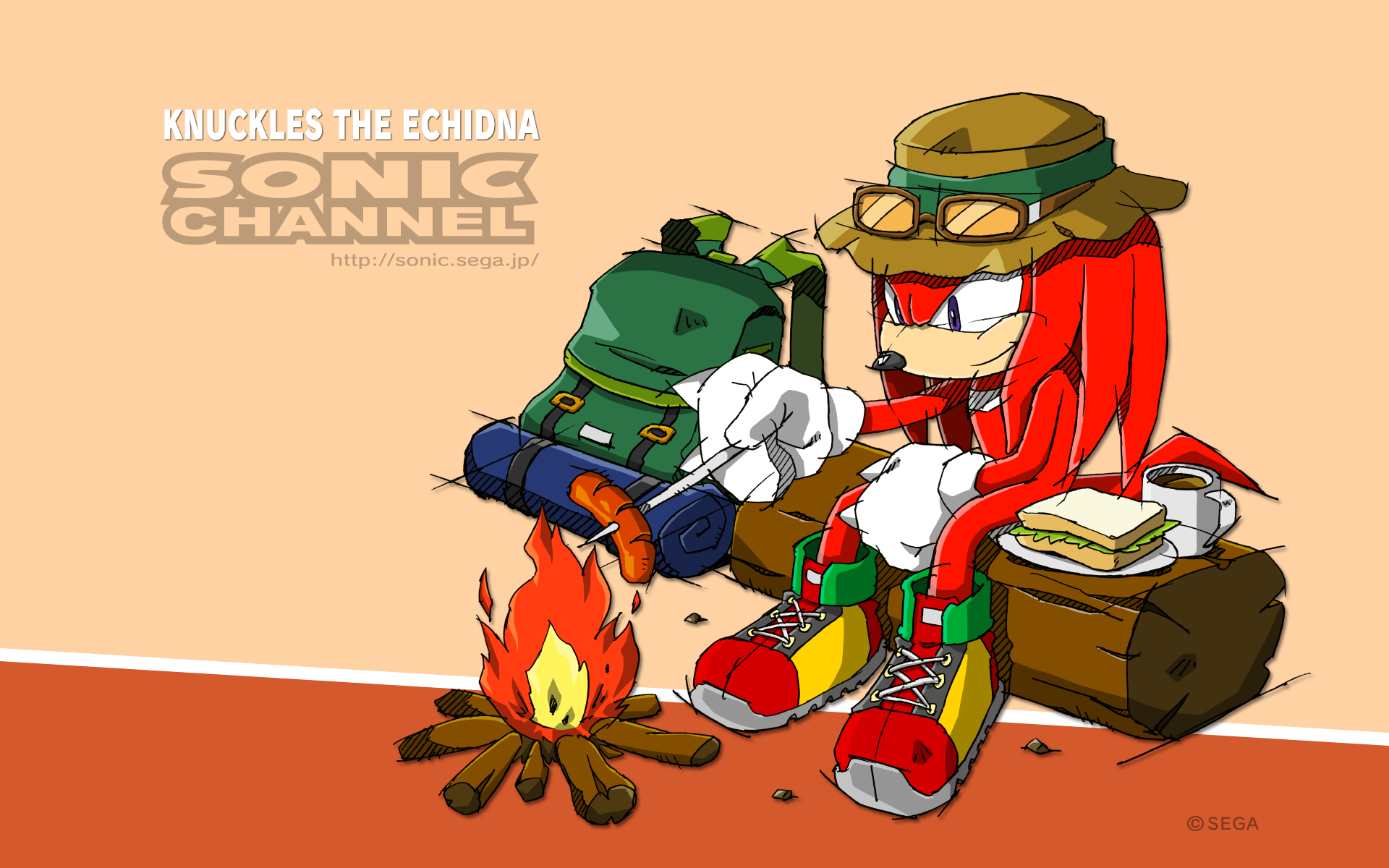 Knuckles The Echidna Wallpaper By Sonicthehedgehogbg