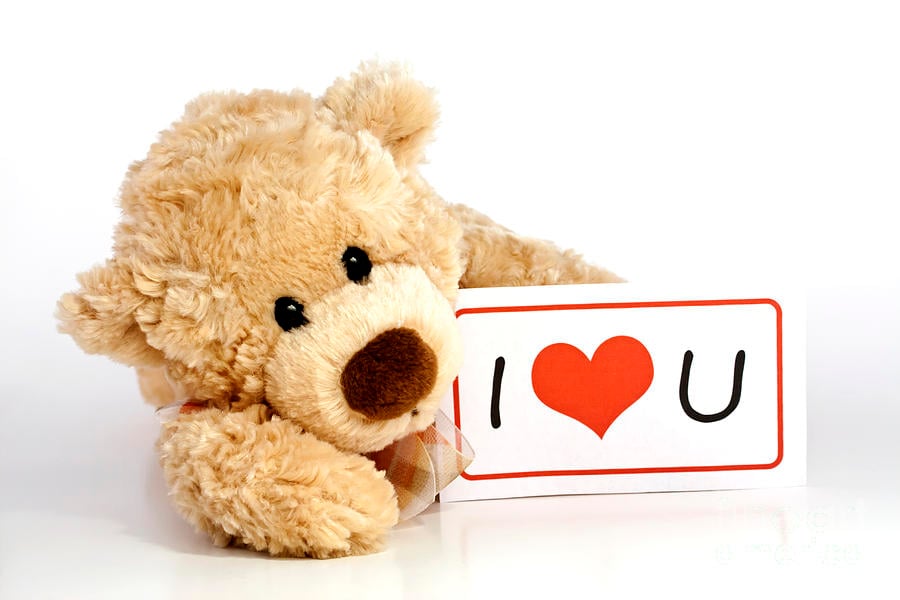 Free download bear with i love you sign blink images 25 Lovely Teddy Bear  Wallpapers [900x600] for your Desktop, Mobile & Tablet | Explore 76+ Teddy  Bear Love Wallpaper | Teddy Bear
