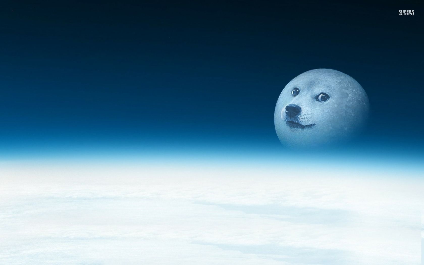 Doge Wallpaper Pika Search Fondos De Pantalla iPhone
