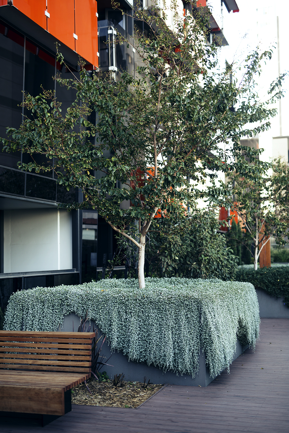 Free download Far East Consortium promotes vertical green spaces Green