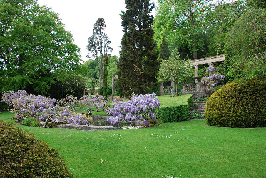 Английский сад картинки