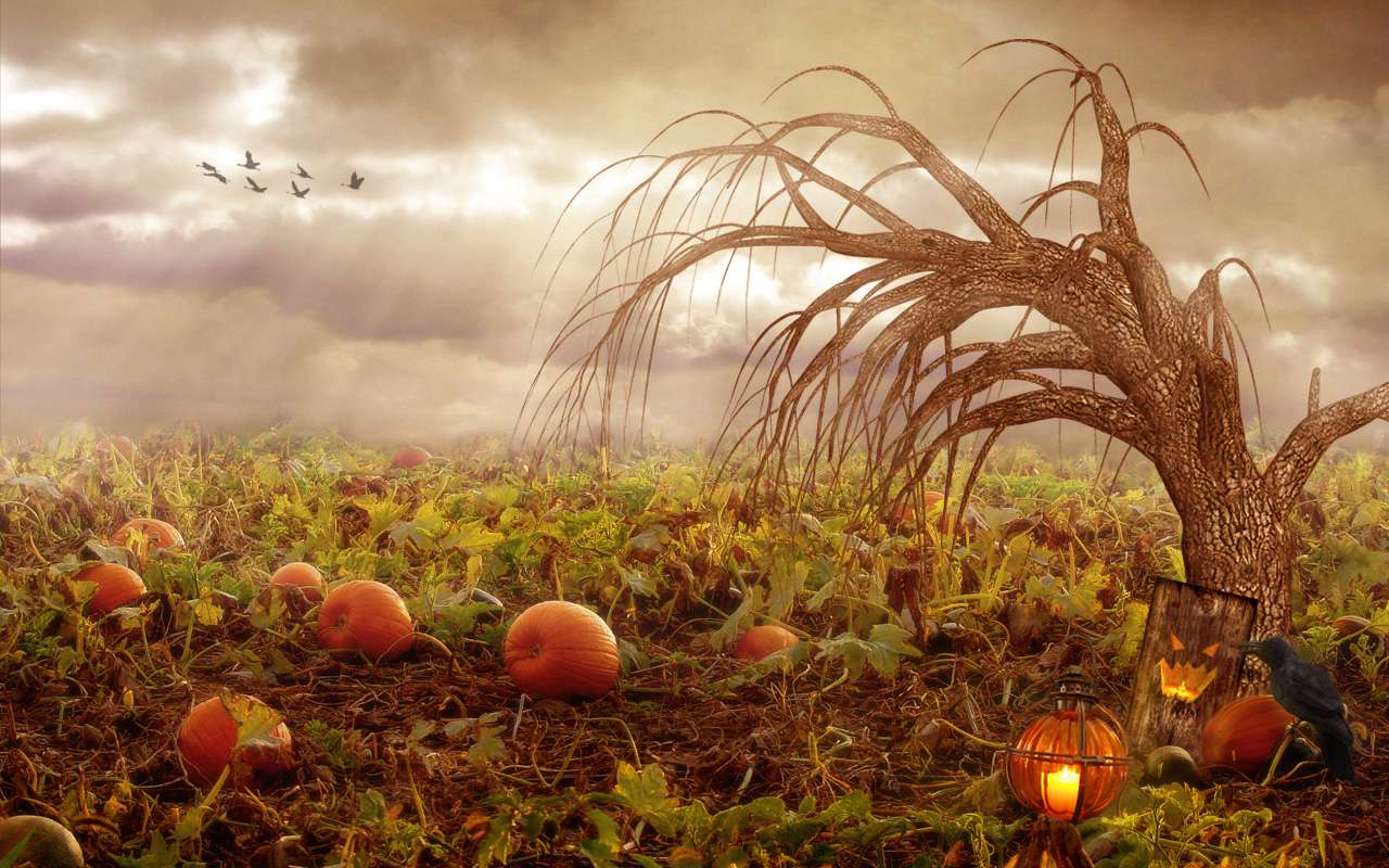 Best Spooky And Fun Halloween Wallpaper