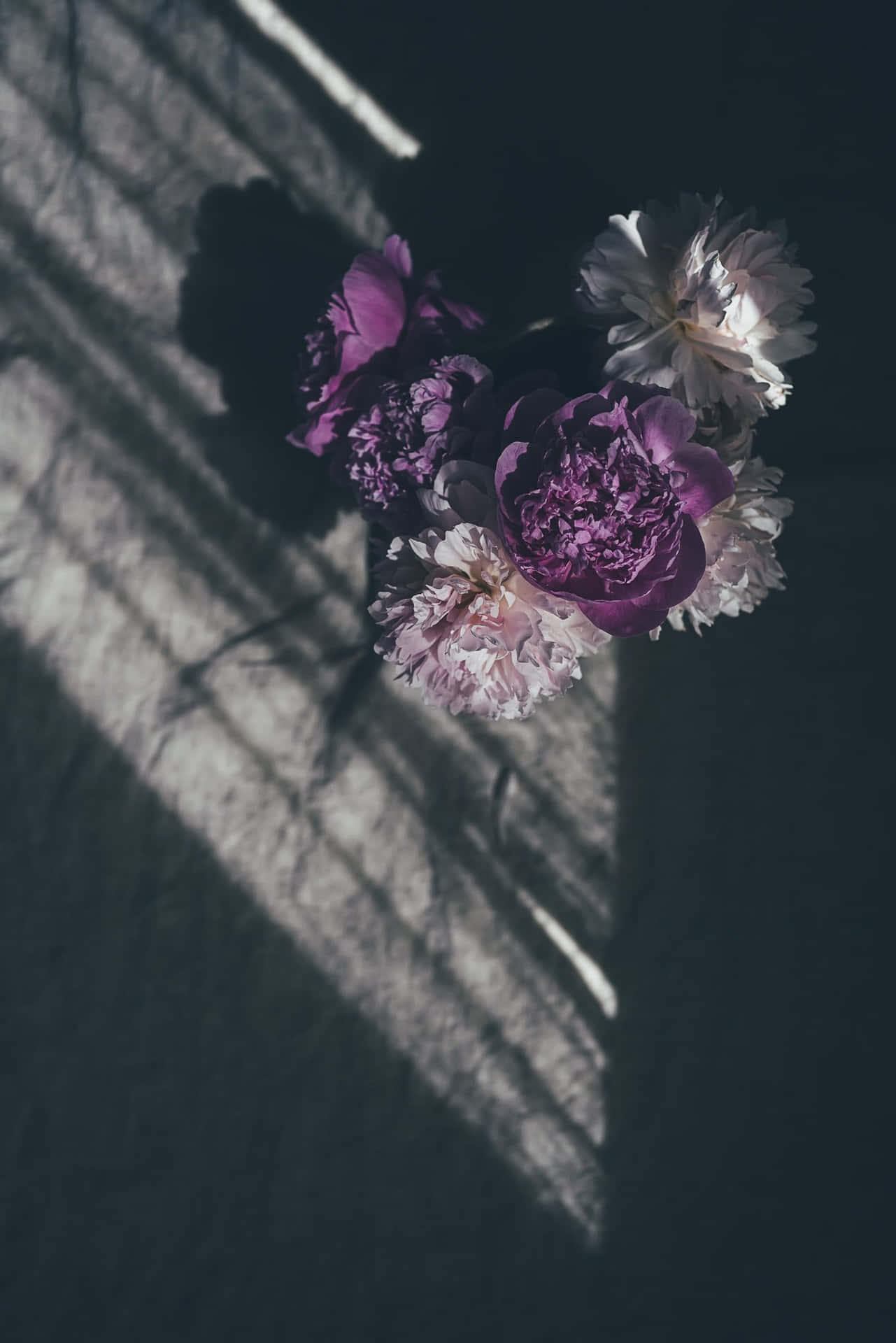 Moody Aesthetic Wallpaper