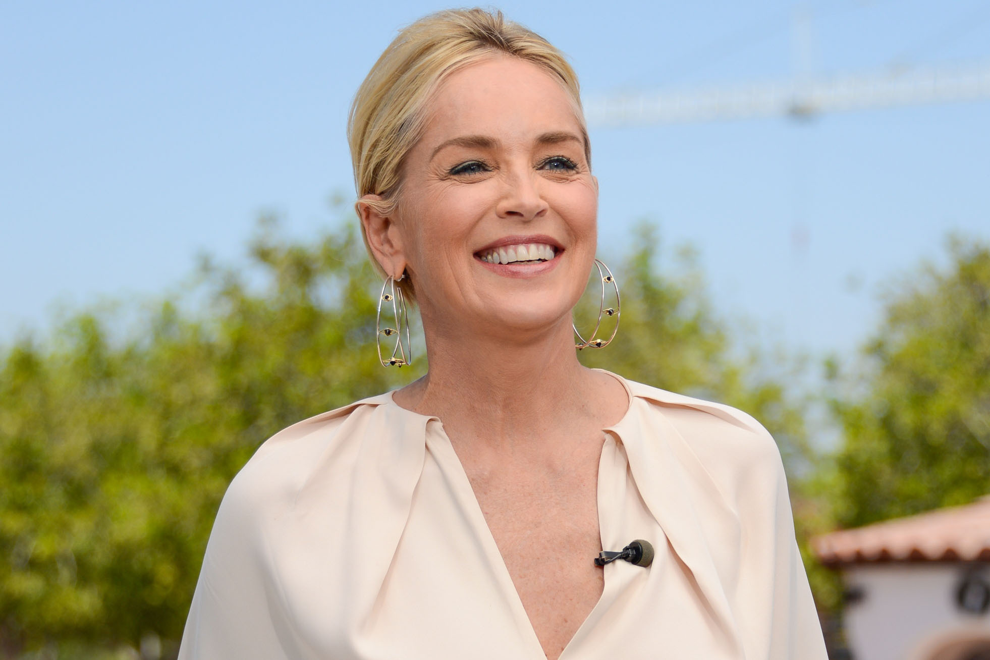 Sharon Stone Wallpaper Image Photos Picture