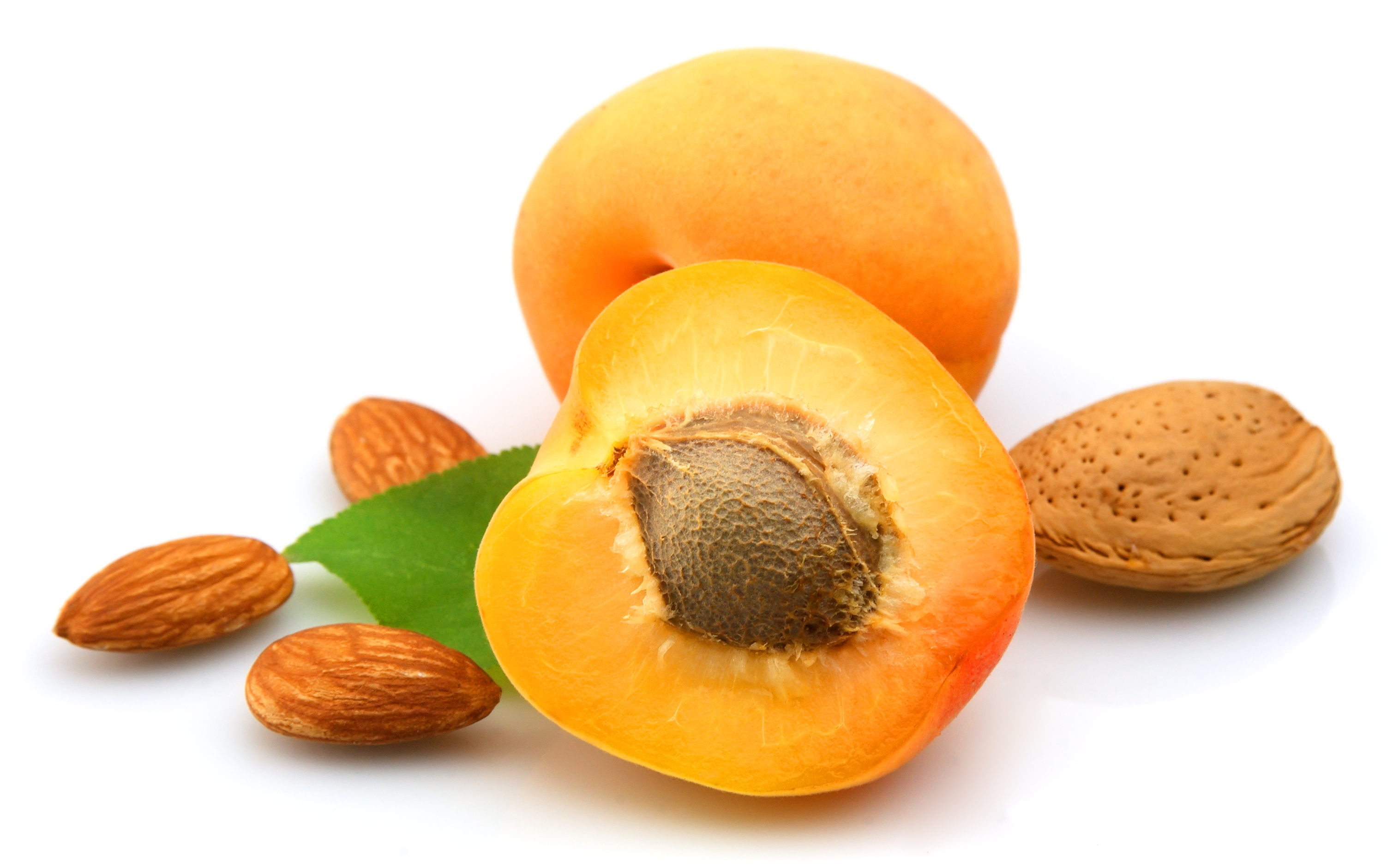 Apricot White Background Image All