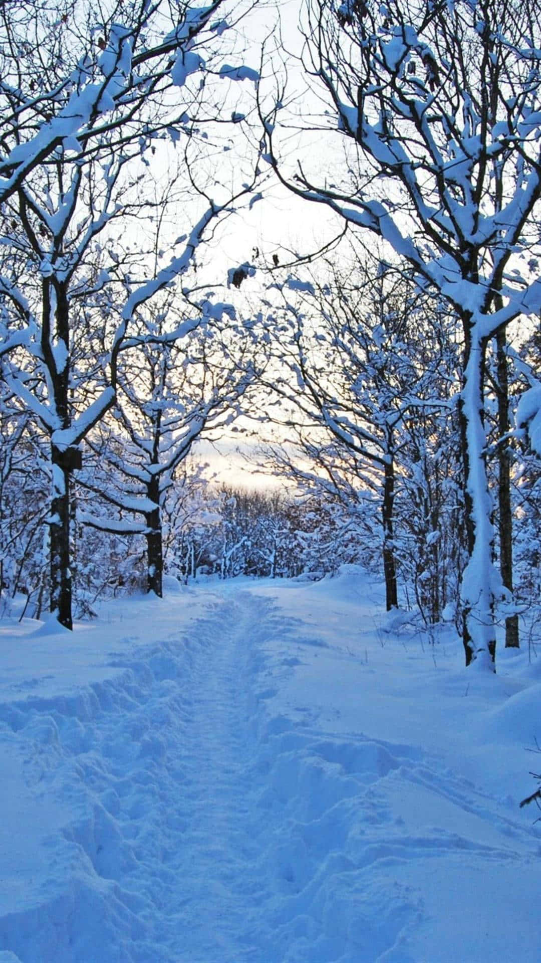 Cute Winter Background Wallpaper