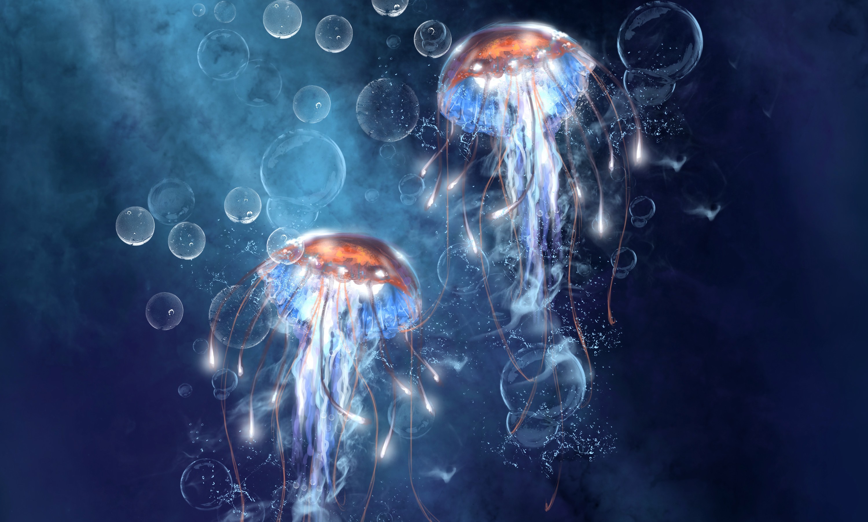 Underwater Jellyfish Bubbles Wallpaper