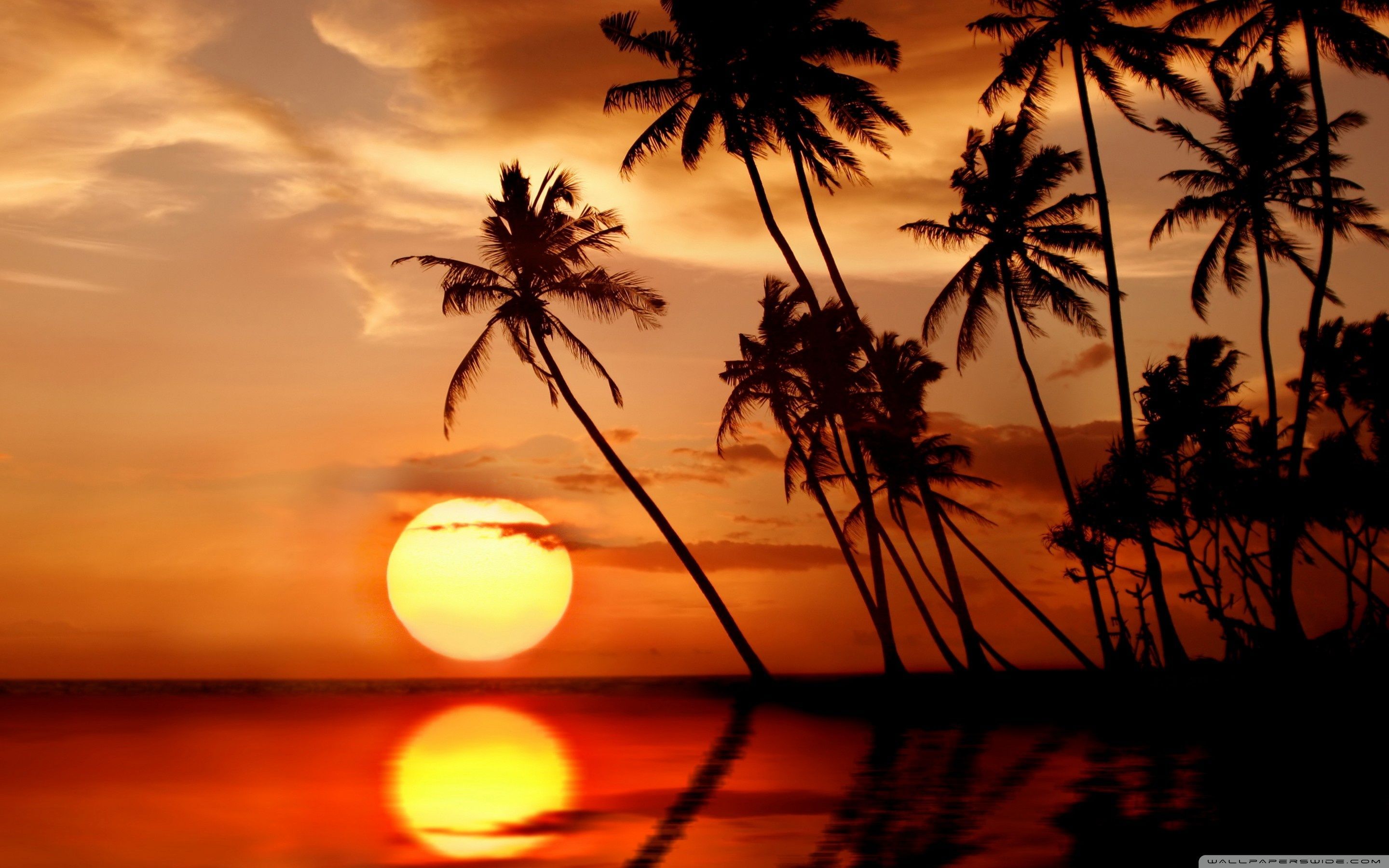 Paradise Sunset Wallpaper Top Background
