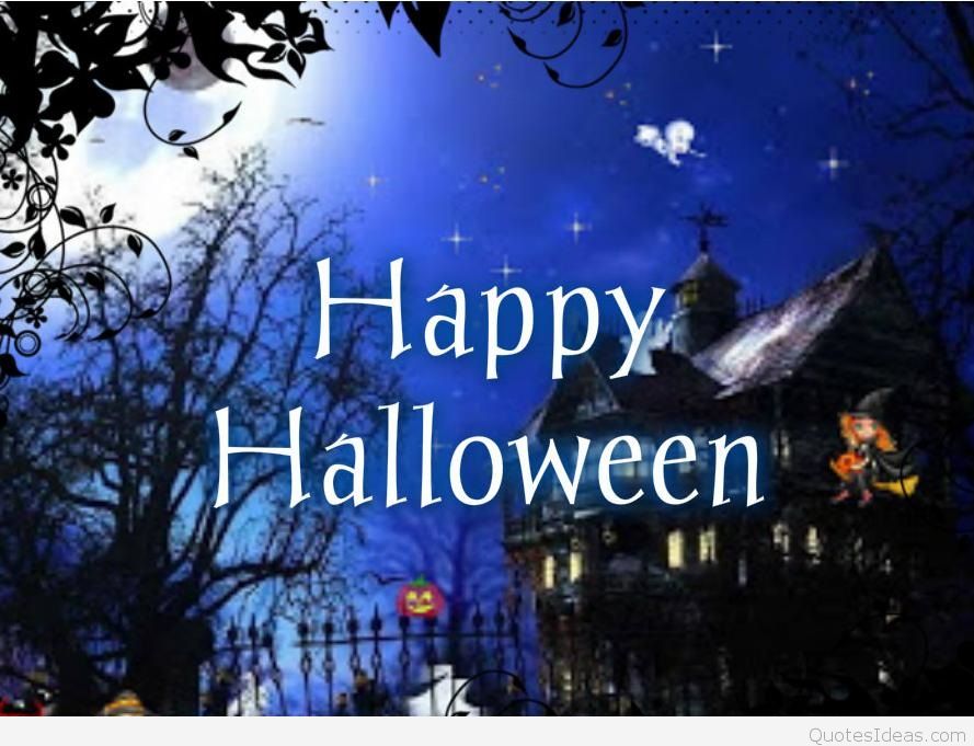 Cute Happy Halloween Photo HD Wallpaper
