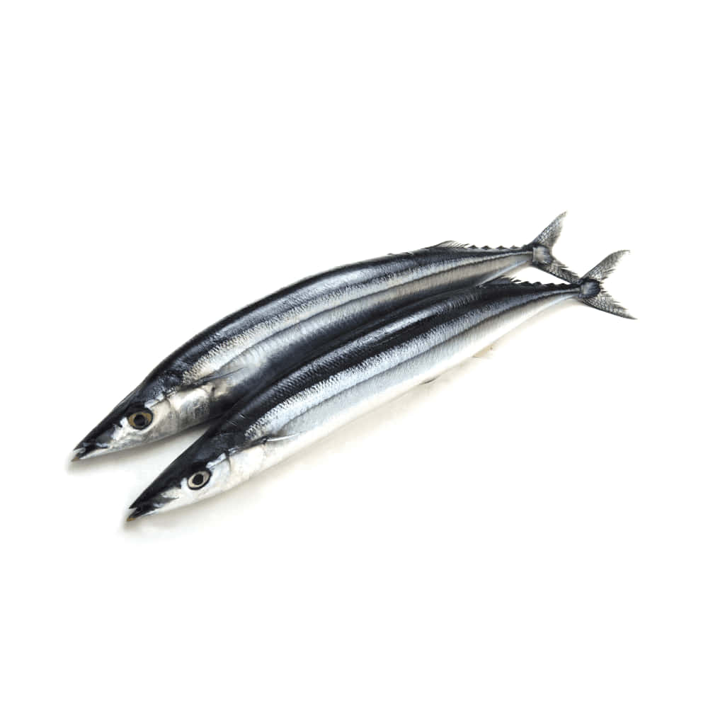 Fresh Pacific Saury Fish White Wallpaper