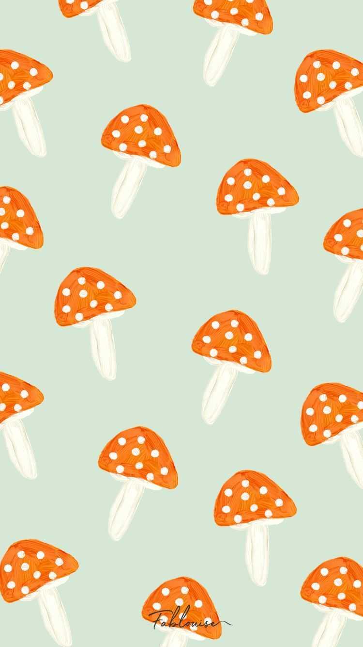 Cute mushroom HD wallpapers  Pxfuel