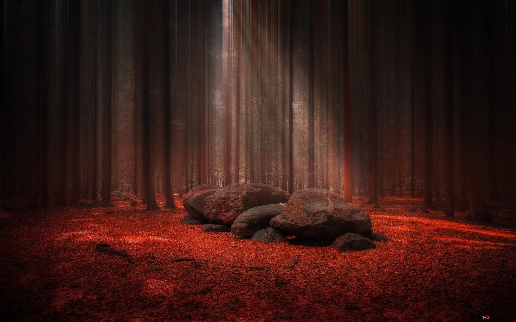 Red Forest HD Wallpaper