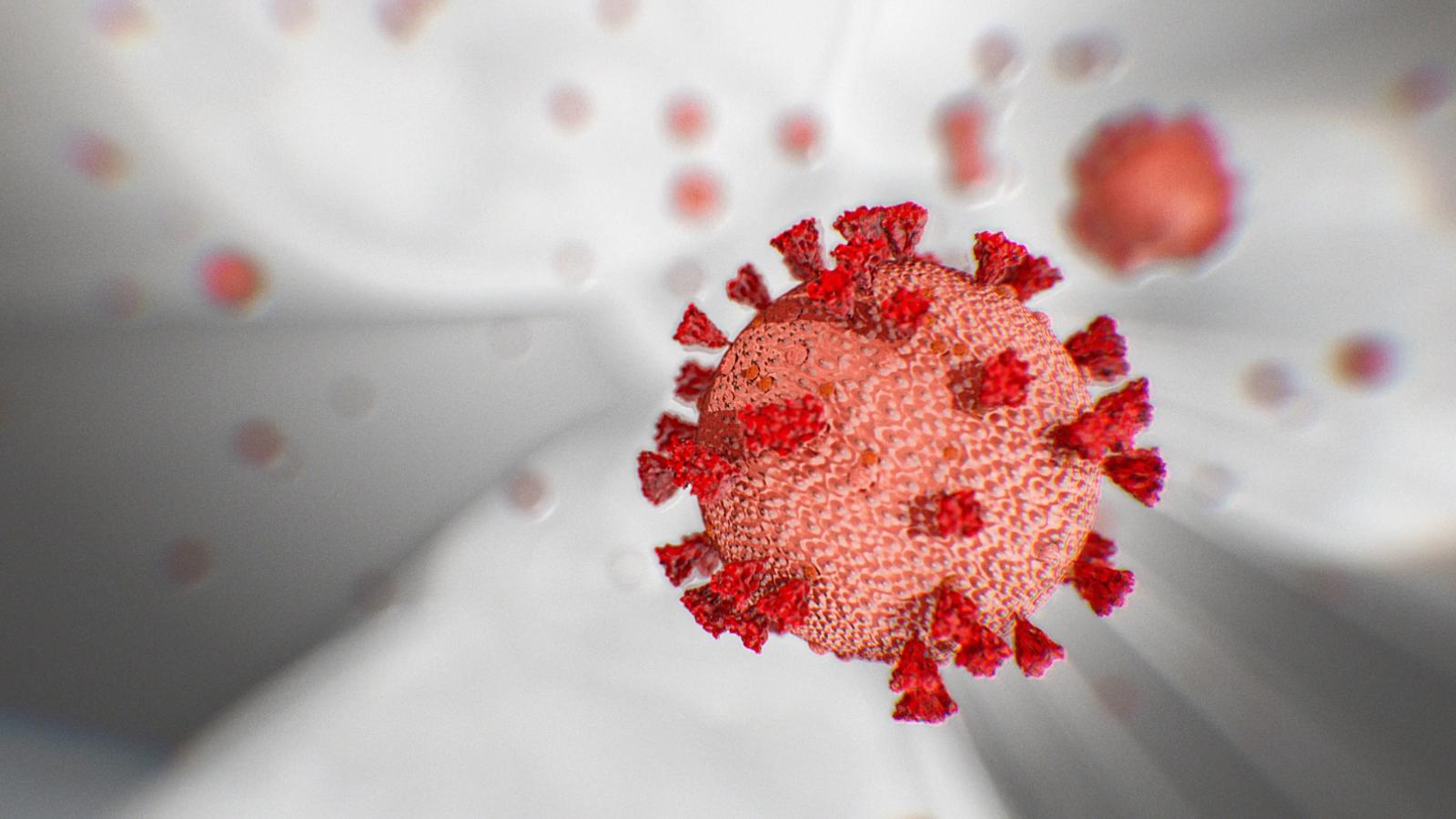 Coronavirus Videos Wallpaper