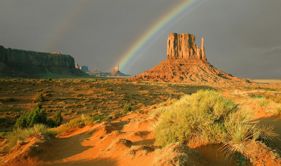 Texas Desert Rainbow And Plants Scenery Desktop Wallpaper
