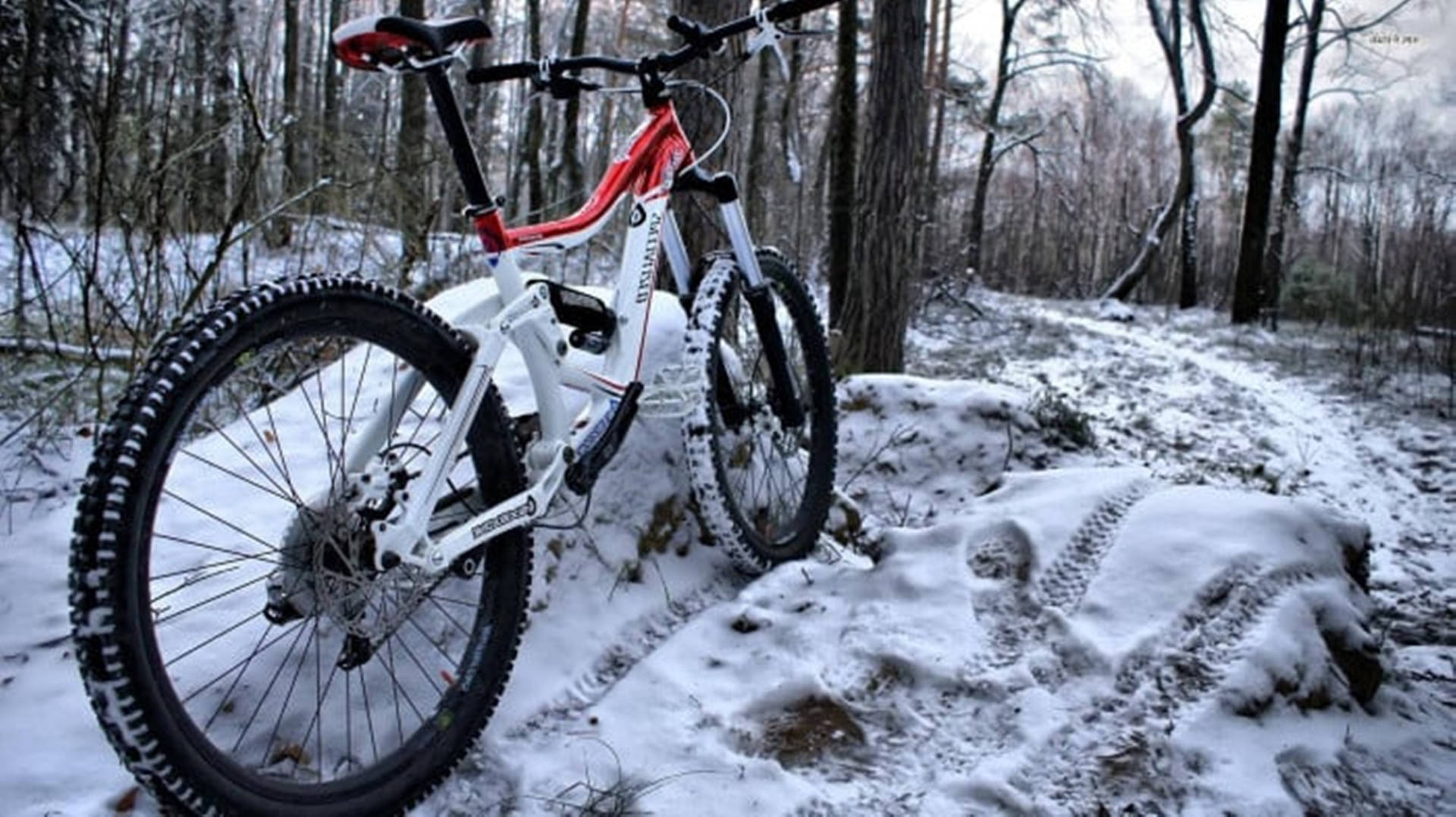 4k Mountain Bike Wallpaper