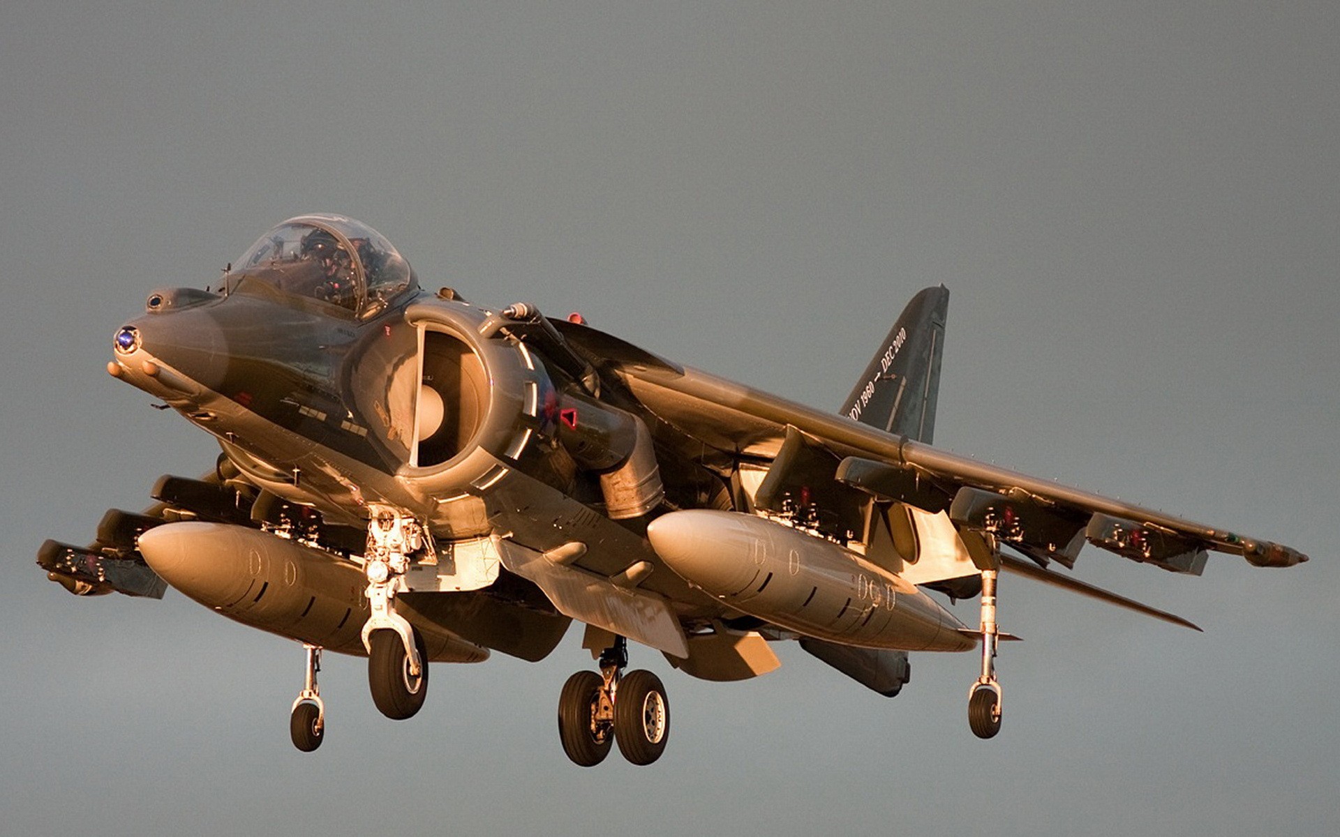 Mcdonnell Douglas Av 8b Harrier Ii Aircraft Gray