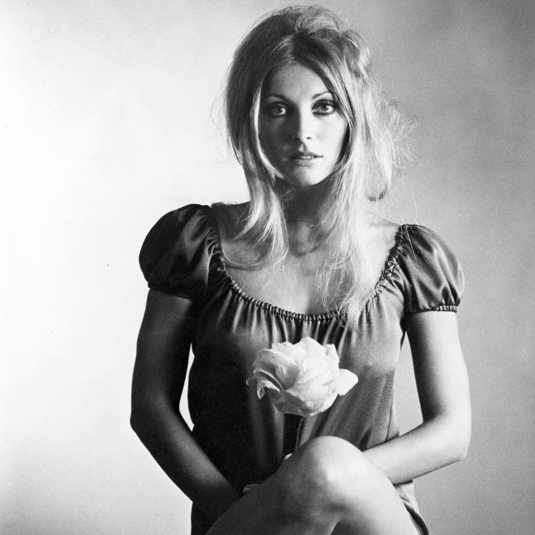 Top Sharon Tate Wallpaper Full HD 4k To Use