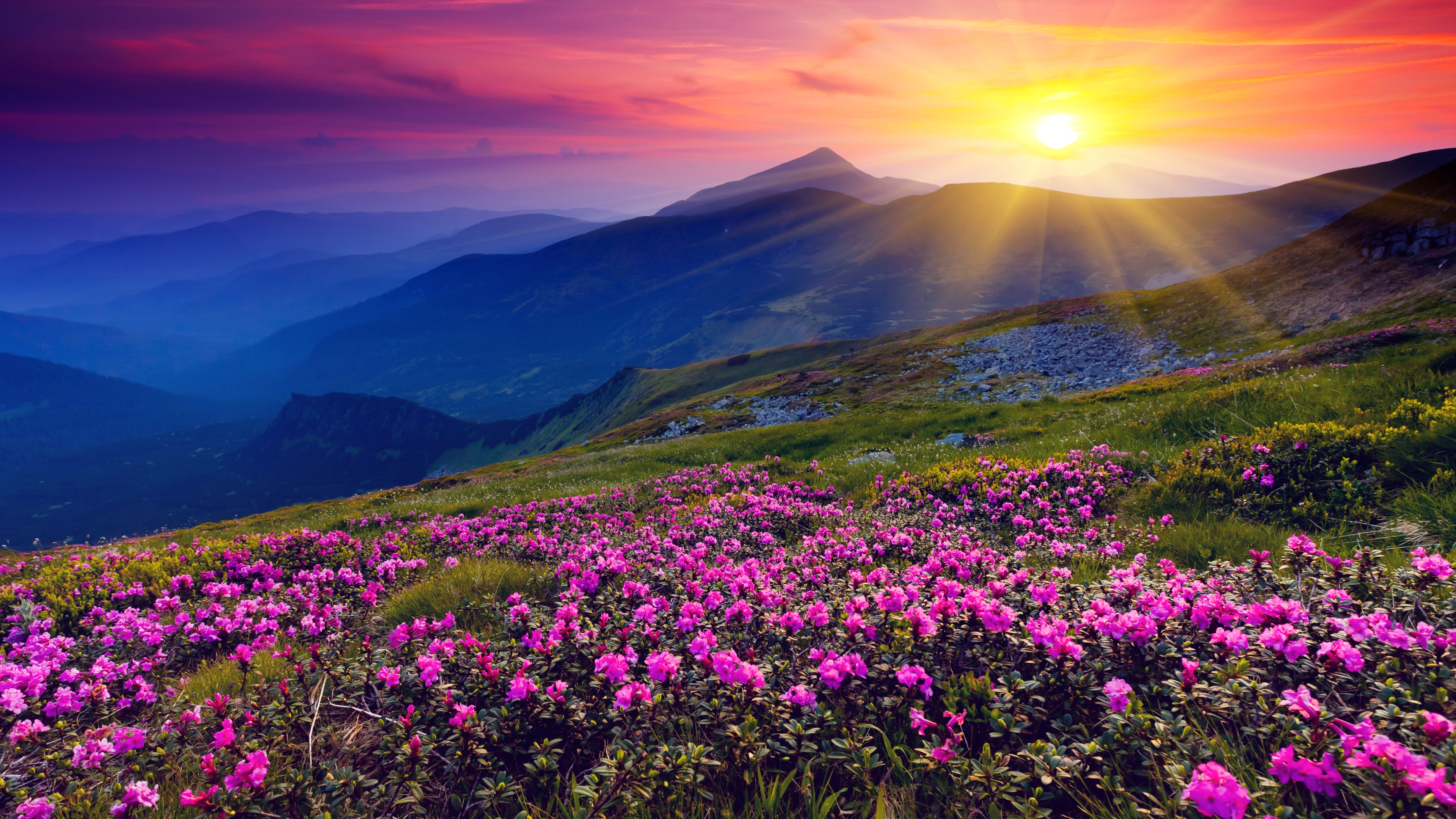 Dream Spring Beautiful Sunset HD Wallpaper