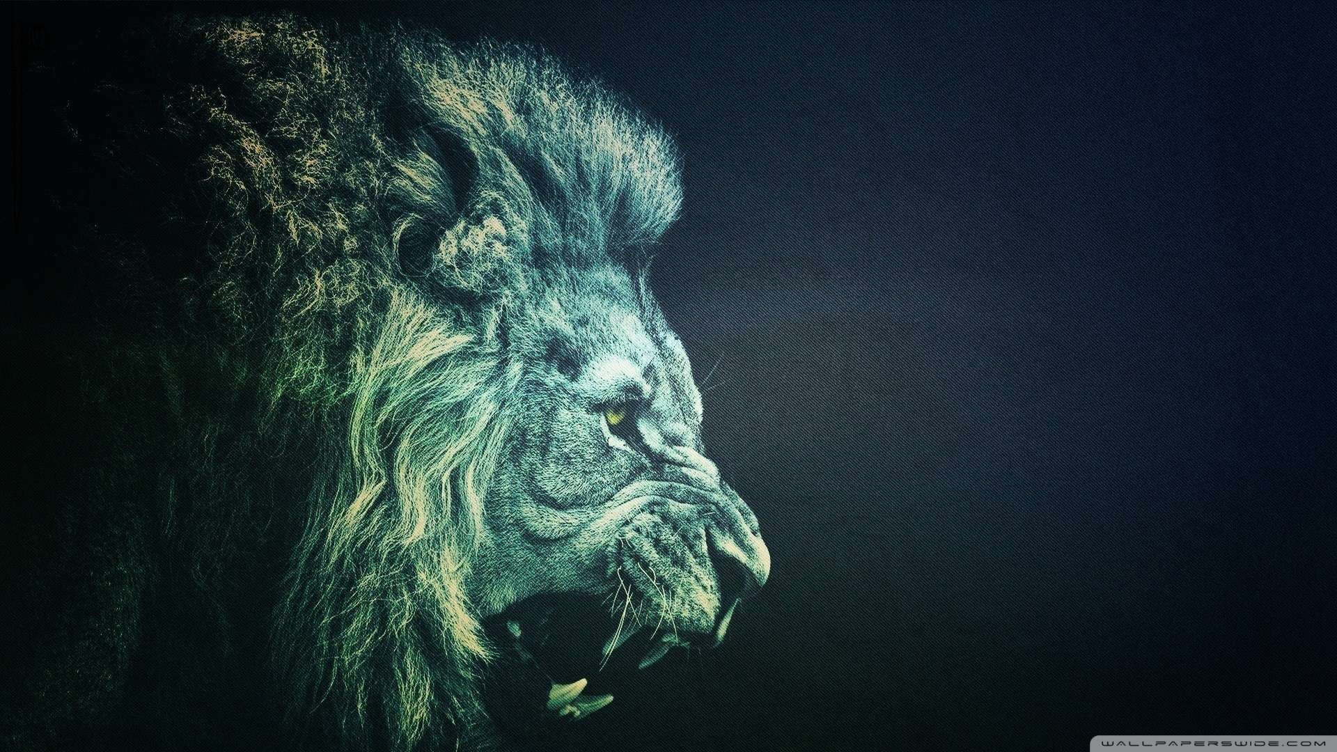 Close-up of a male lion's profile with a dark background