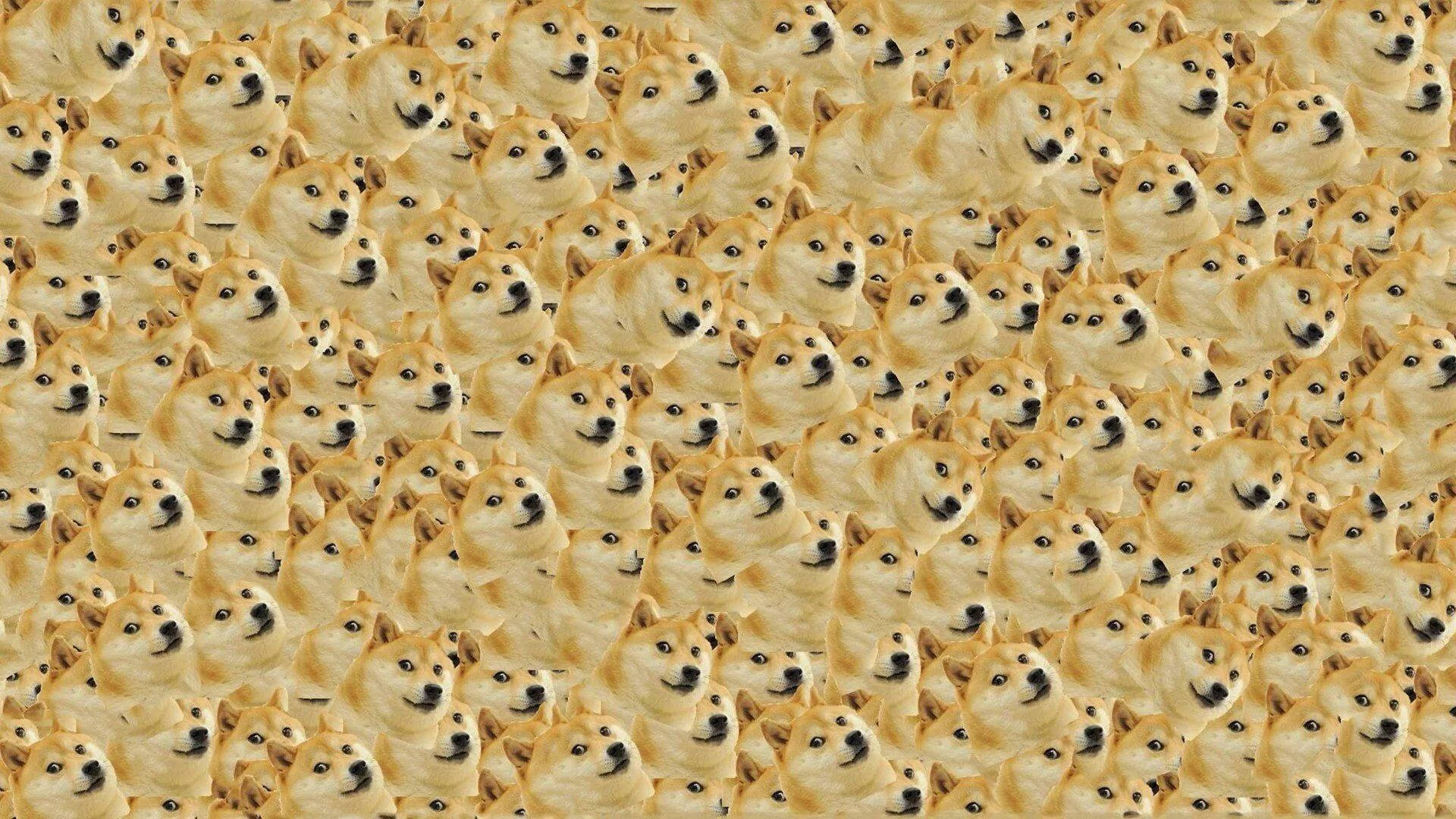 Meme Faces Wallpaper