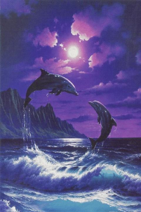 Gratis Dolphin Wallpaper 3d
