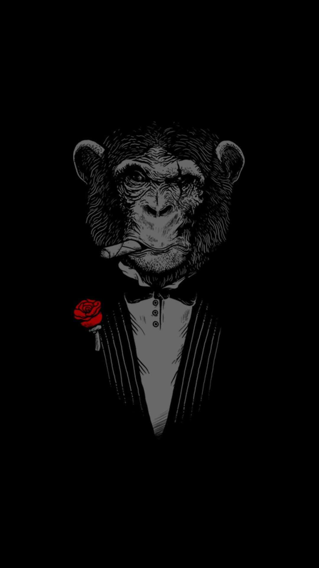 🔥 Free Download Monkey Iphone Wallpaper by @gmiller | WallpaperSafari