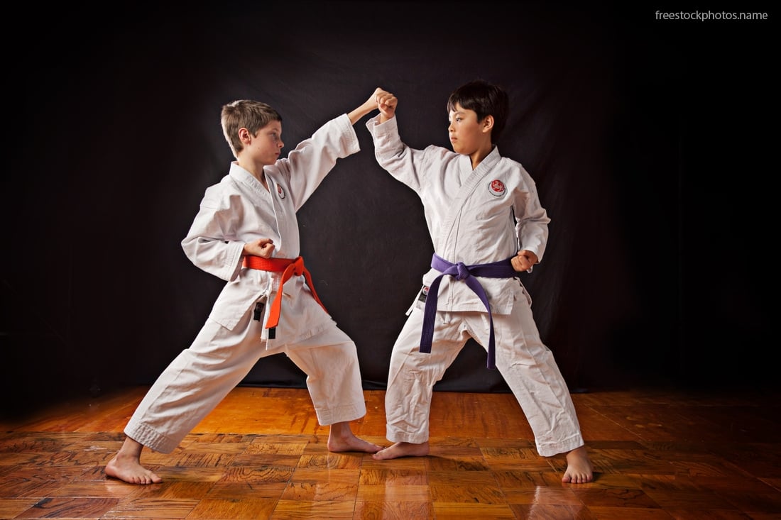 Download Stock Photos of karate kids images photography Royalty free