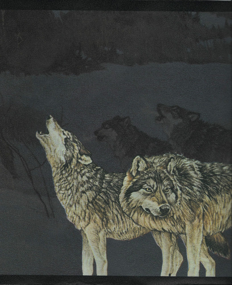 Wolves Howling Glen Loates Wallpaper Border