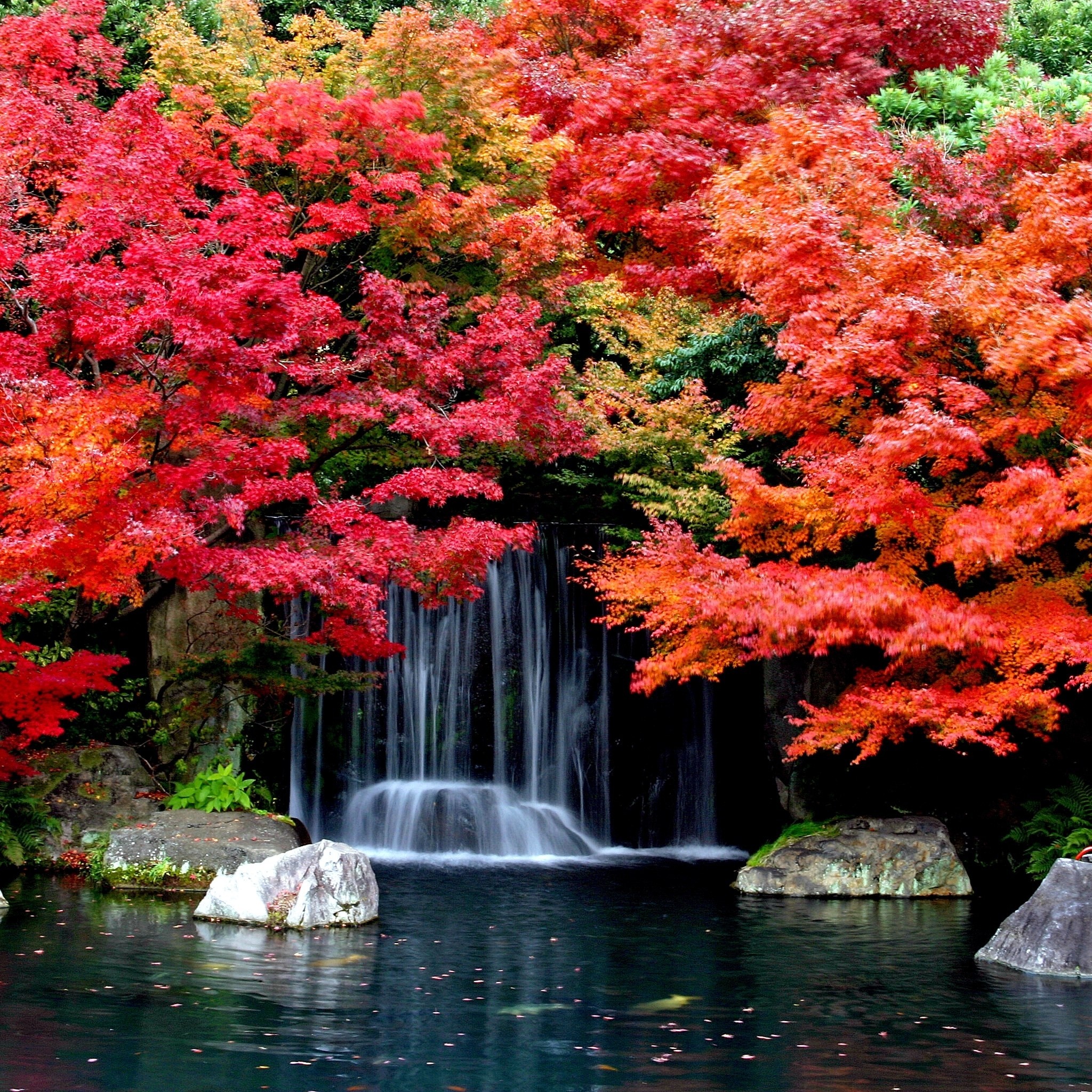 Cool Wallpaper With Autumn Leaves And Waterfall For Ipad Air Retina