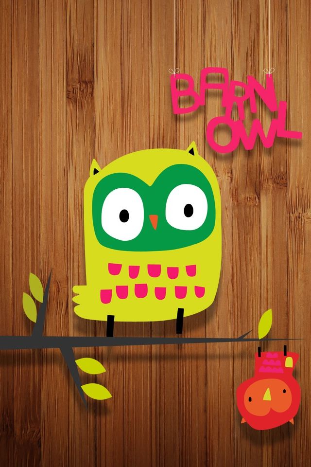 Funny Cute Owl iPhone 4s Wallpaper S Pinte