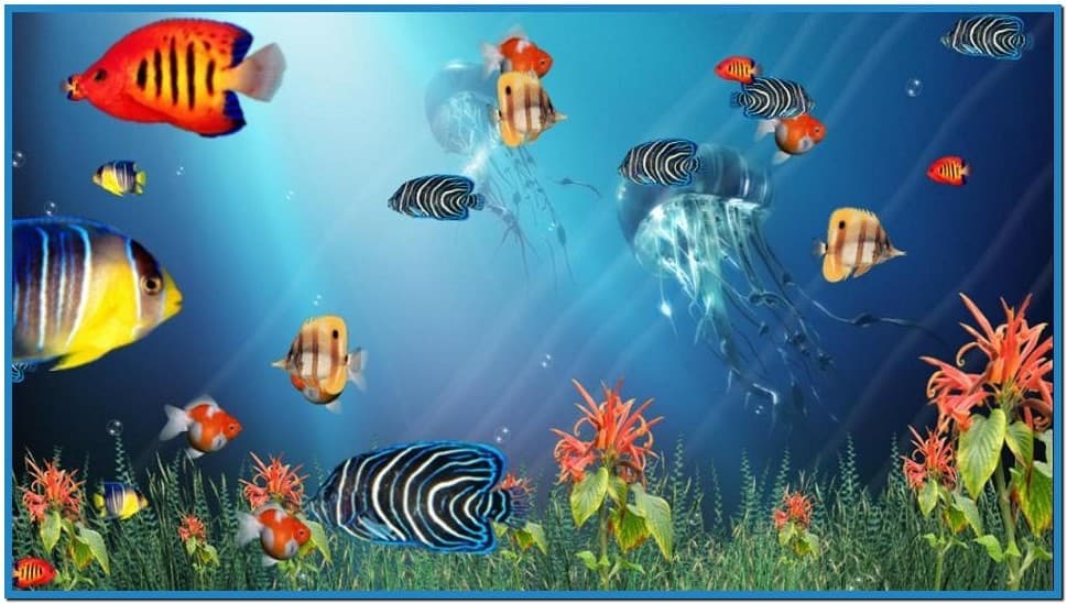 best aquarium screensaver multi monitor