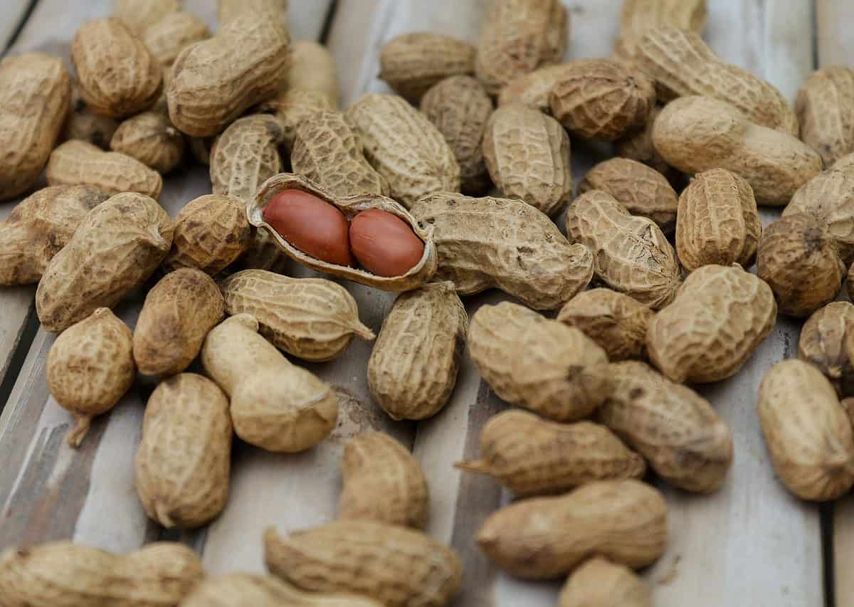 Peanuts Wallpaper