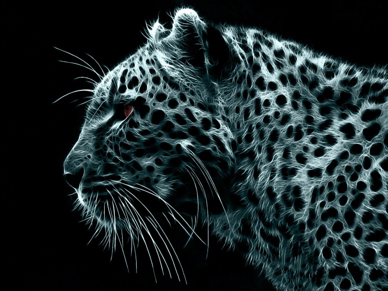HD Wallpaper Of Crazy Leopard Desktop